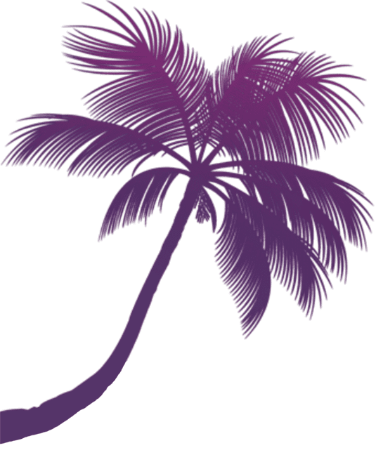 palm